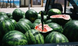 吃瓜星娱乐为什么说人类要吃盐,吃瓜星娱乐视角下的盐与人类生存之谜