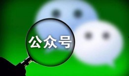 吃瓜群众娱乐微信公众号