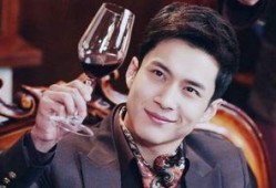 娱乐圈吃瓜韩东君,娱乐圈吃瓜达人，揭秘明星幕后故事