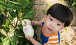 吃瓜娱乐木木子,木木子带你领略娱乐圈的欢乐时光