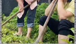 娱乐吃瓜群众一号