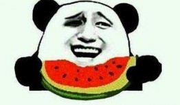 娱乐吃瓜酱伤感语录大全,娱乐吃瓜酱的内心独白