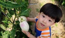 娱乐吃瓜酱农村小名,一场别开生面的乡村趣味故事