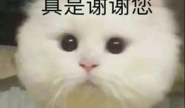 吃瓜表情包沙雕版,笑翻你的日常