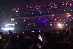 吃瓜猪娱乐演唱会,狂欢之夜，星光熠熠