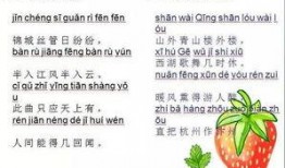 娱乐吃瓜图片图文并茂大全,揭秘明星幕后趣闻