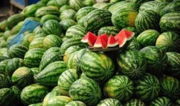 娱乐观察吃毒瓜,毒瓜事件背后的真相与反思