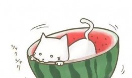 娱乐吃瓜酱头像图片高清,揭秘网红界的神秘面纱