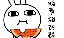 娱乐吃瓜经典语录图片,笑料百出，揭秘明星幕后趣闻