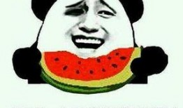 吃瓜群众百科百度,揭秘网络热议背后的真相与趣味