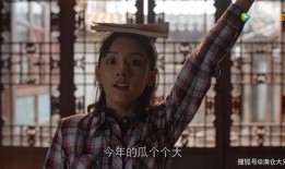 娱乐圈吃瓜锤锤,揭秘明星背后的真相与八卦