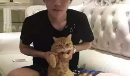 王源吃瓜娱乐圈,娱乐圈吃瓜背后的故事