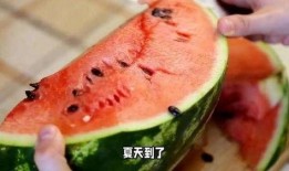 吃瓜时刻,吃瓜时刻背后的真相与八卦